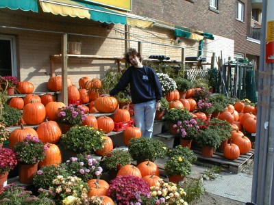 photo-7